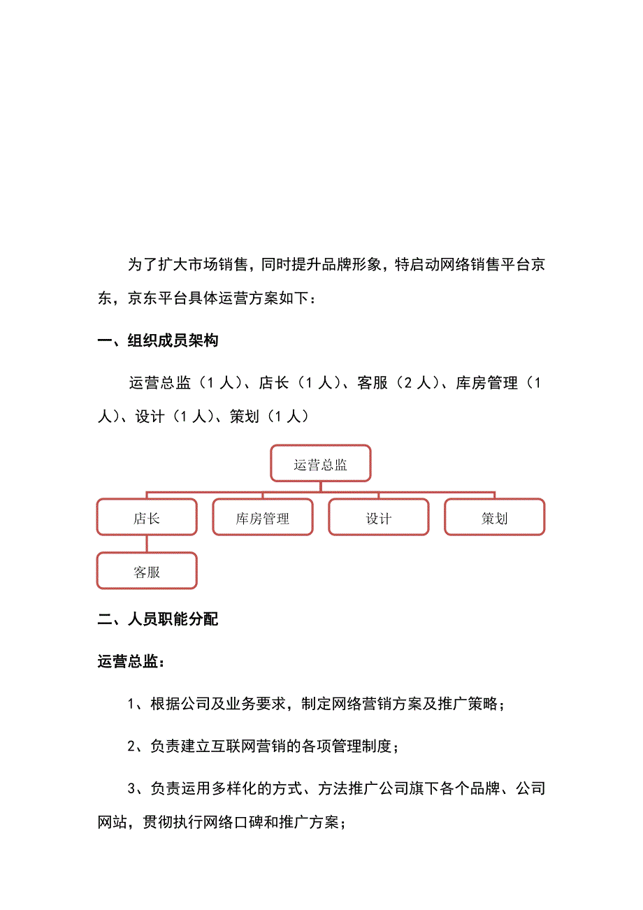 京东电商运营方案.docx_第2页