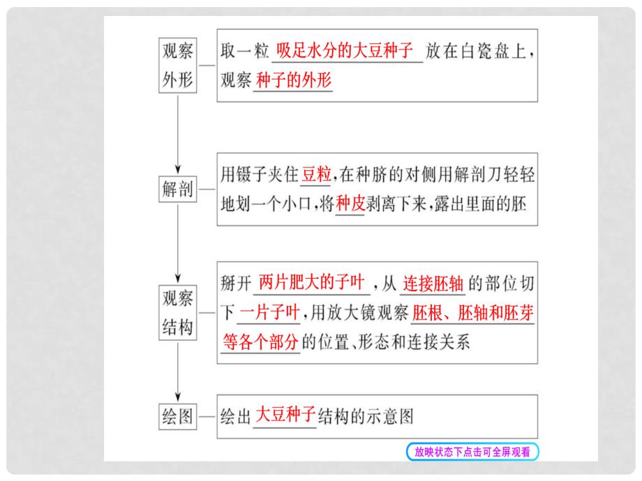 七年级生物上册 3.6.1 种子萌发形成幼苗课件 北师大版_第3页