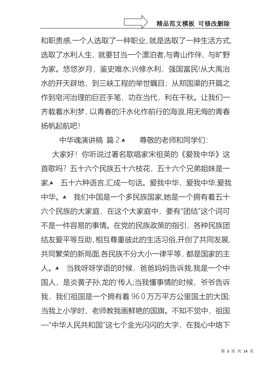 中华魂演讲稿合集7篇2_第3页