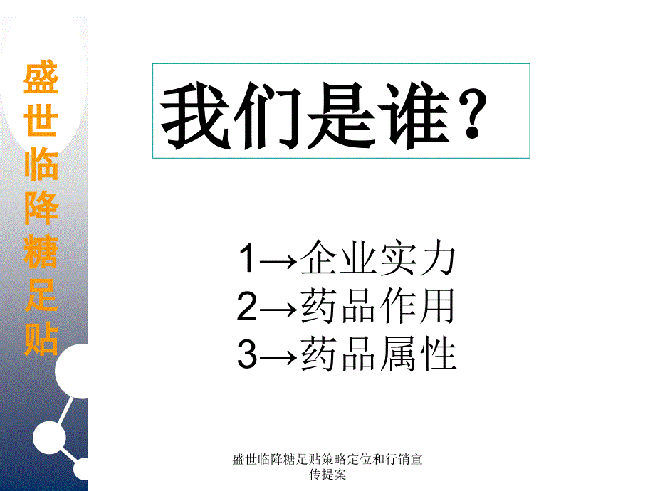 盛世临降糖足贴策略定位和行销宣传提案课件_第4页