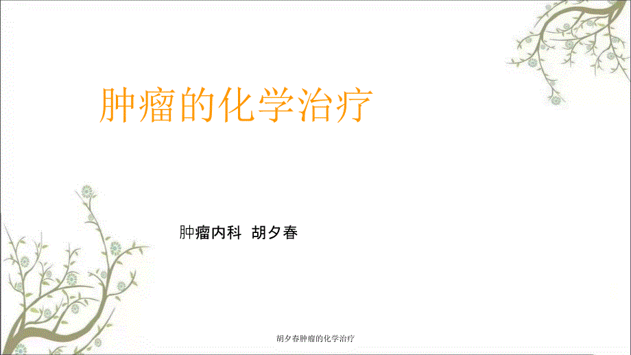 胡夕肿瘤的化学治疗课件_第1页