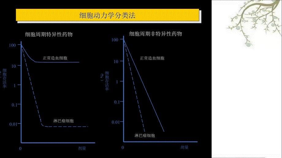 胡夕肿瘤的化学治疗课件_第5页