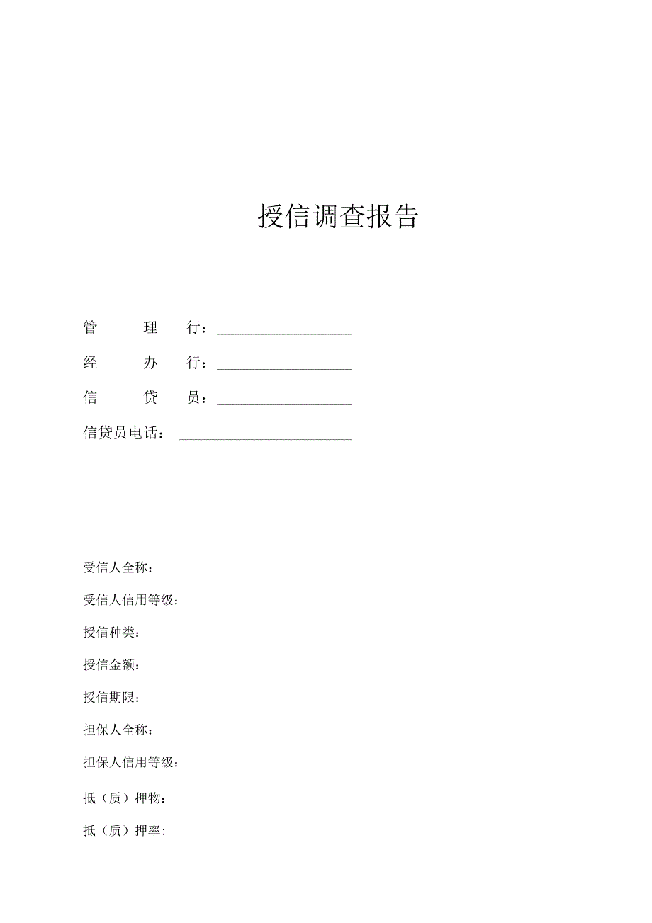 民生银行信贷部授信实战全套资料授信调查报告_第1页