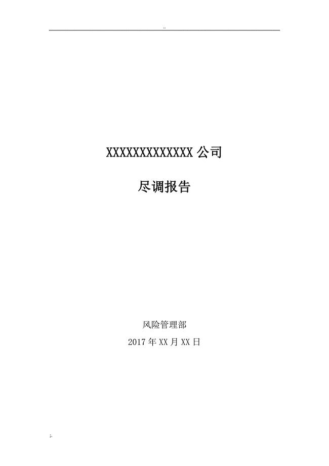 尽调报告模板