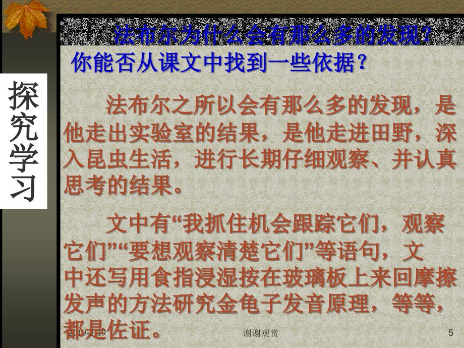 苏教版七下《松树金龟子》ppt课件_第5页