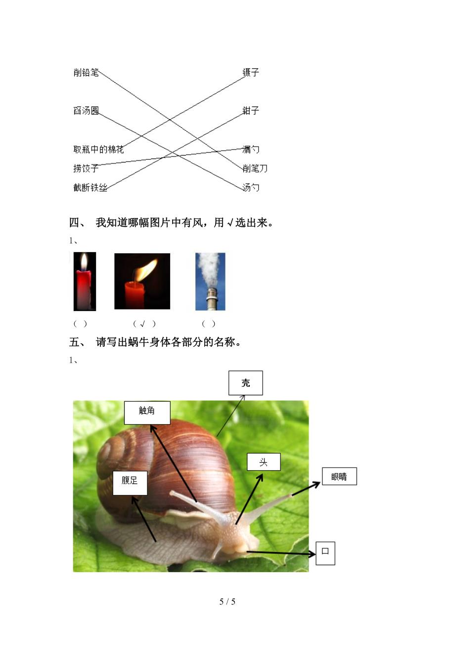 新人教版一年级科学上册期中试卷及答案【完整】.doc_第5页