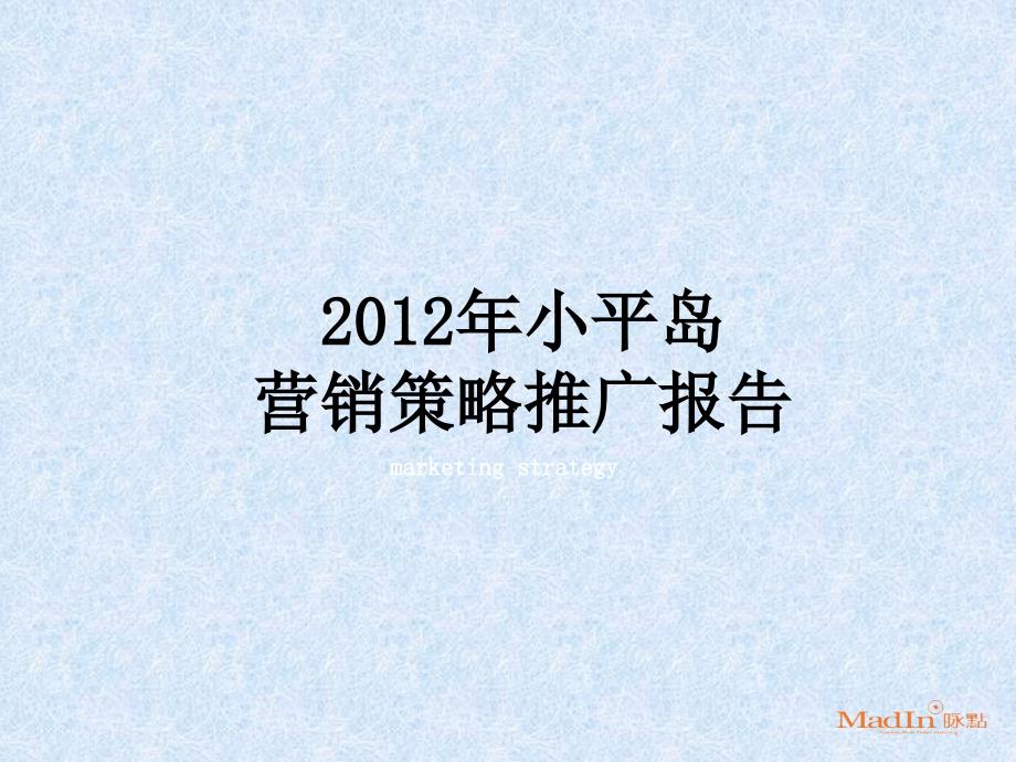 小平岛营销策略推广报告_第1页