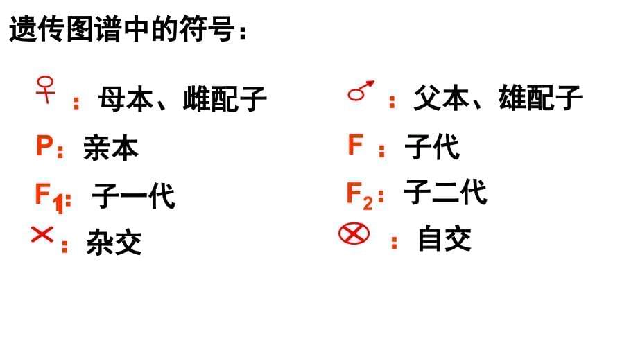 基因分离刘志2_第5页