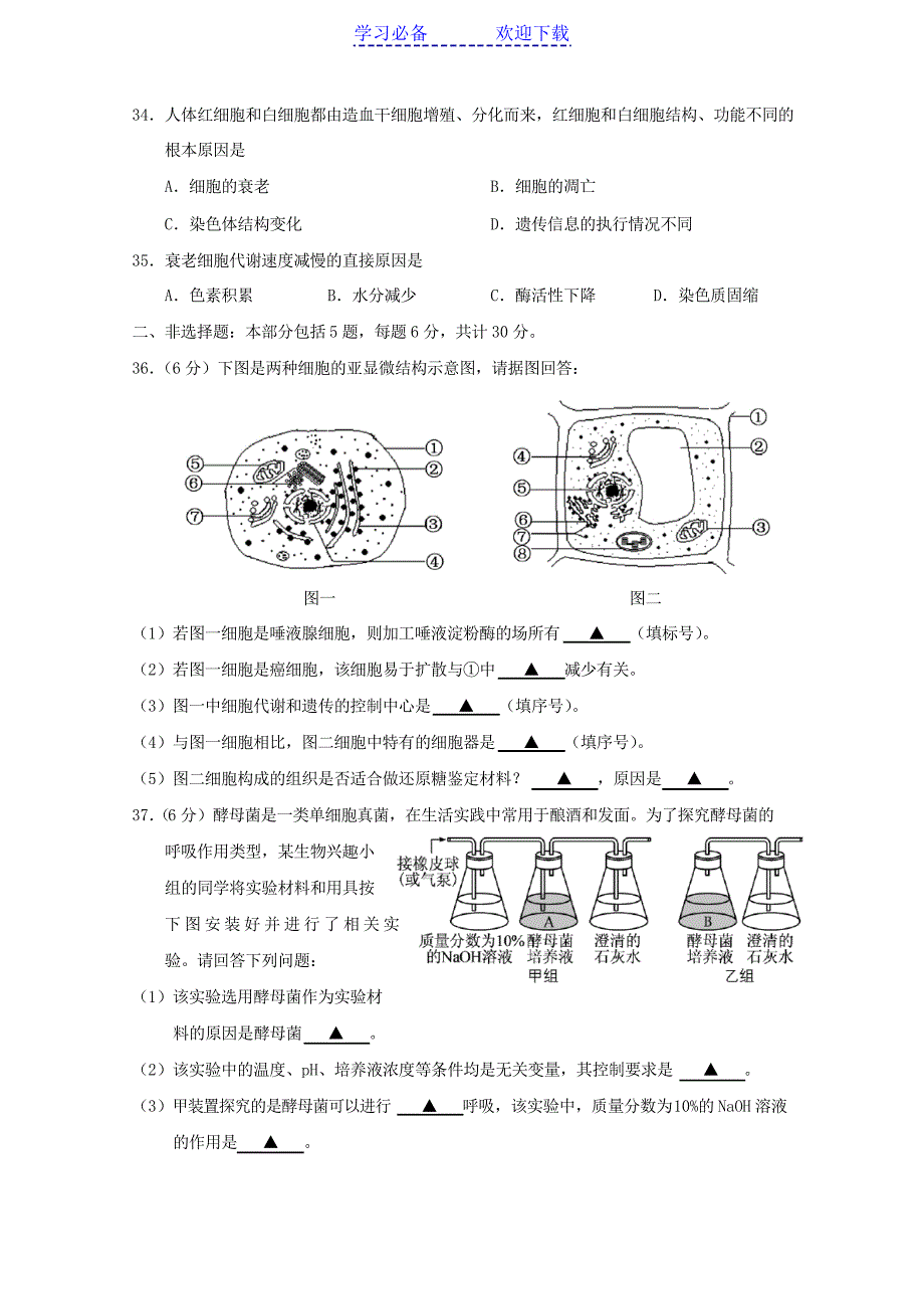 江苏省如皋市高一上学期期末考试生物试题_第5页