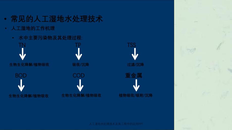 人工湿地水处理技术及其工程中的应用_第4页