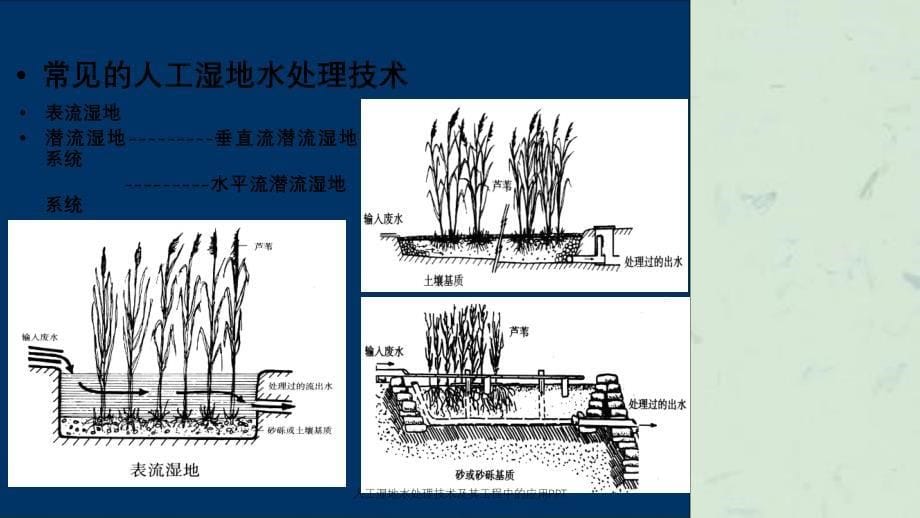 人工湿地水处理技术及其工程中的应用_第5页