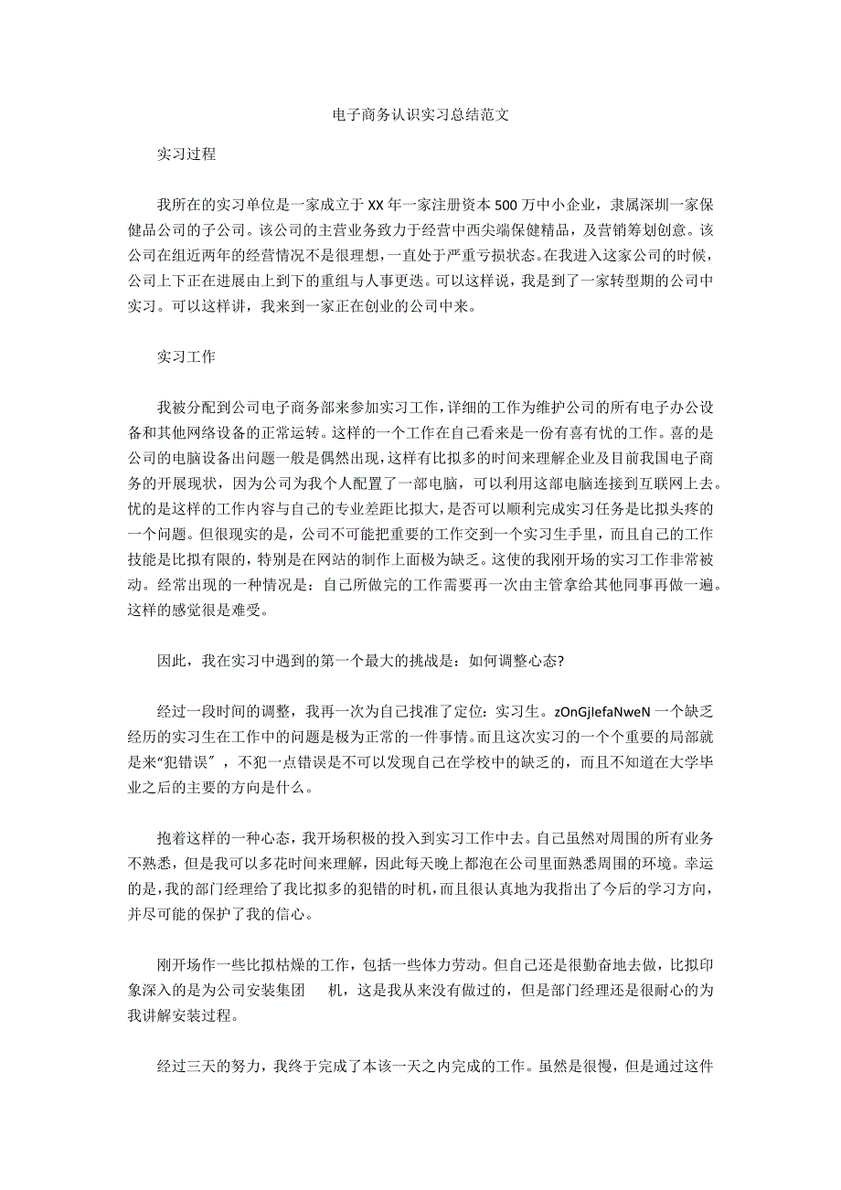 电子商务认识实习总结范文_第1页