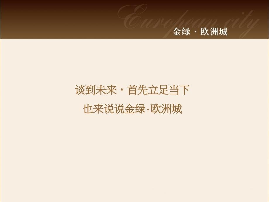 金绿欧洲城项目营销推广策略89P_第5页