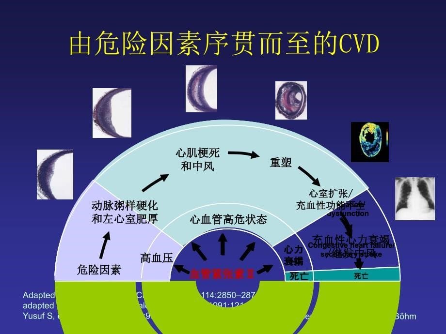 心血管病传统及新危险因素评价_第5页