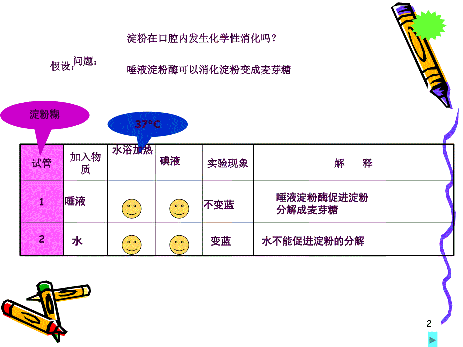 课食物在胃肠内消化ppt课件_第2页