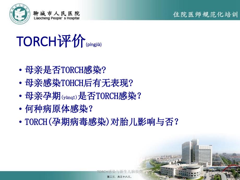 TORCH感染与新生儿脑损伤课件_第2页