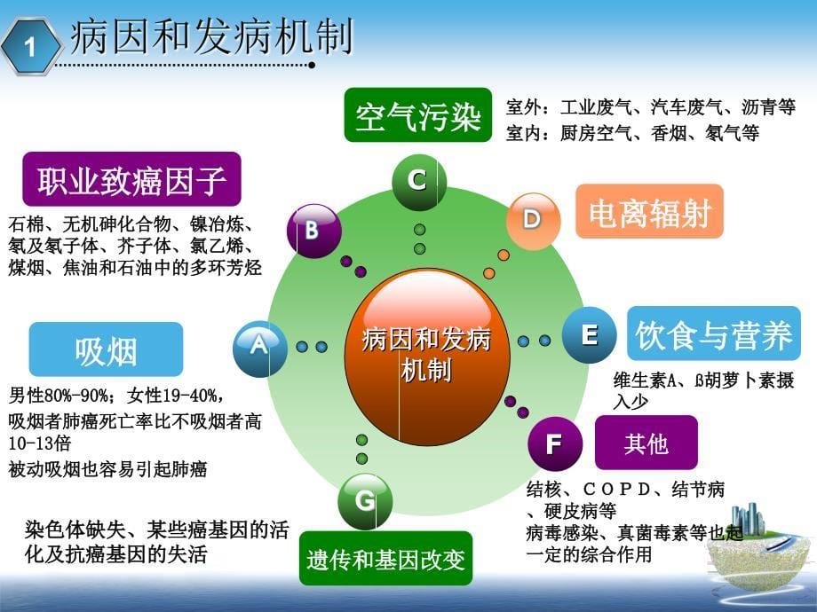 内科学教学课件：原发性支气管肺癌 (2)_第5页