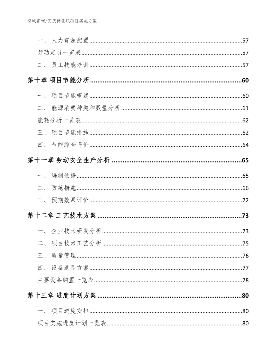 安庆储氢瓶项目实施方案_第4页