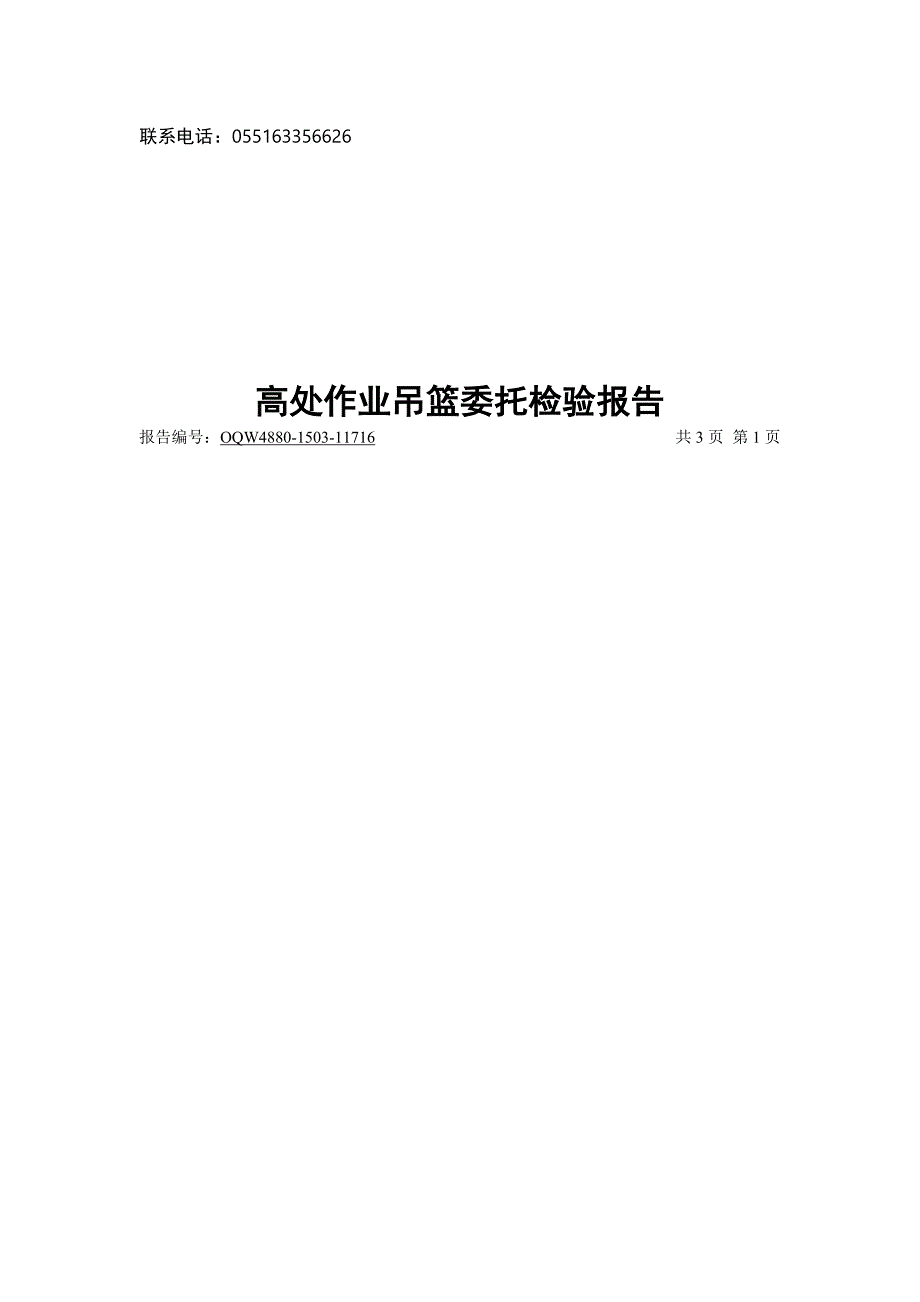 吊篮检验报告_第3页