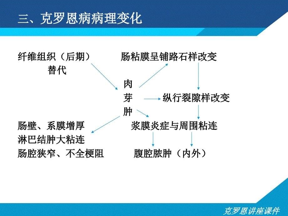 克罗恩讲座课件_第5页