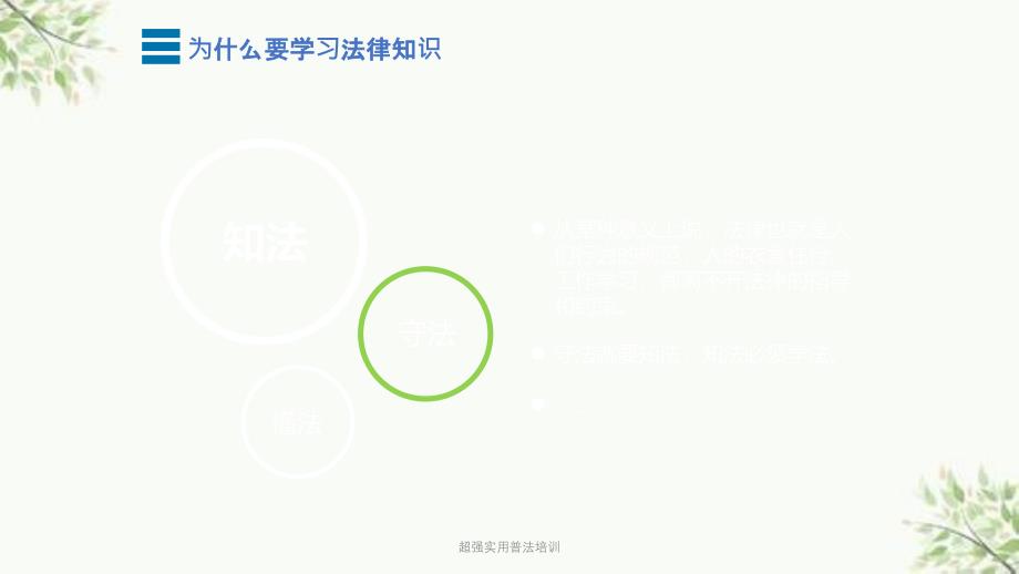 超强实用普法培训课件_第3页