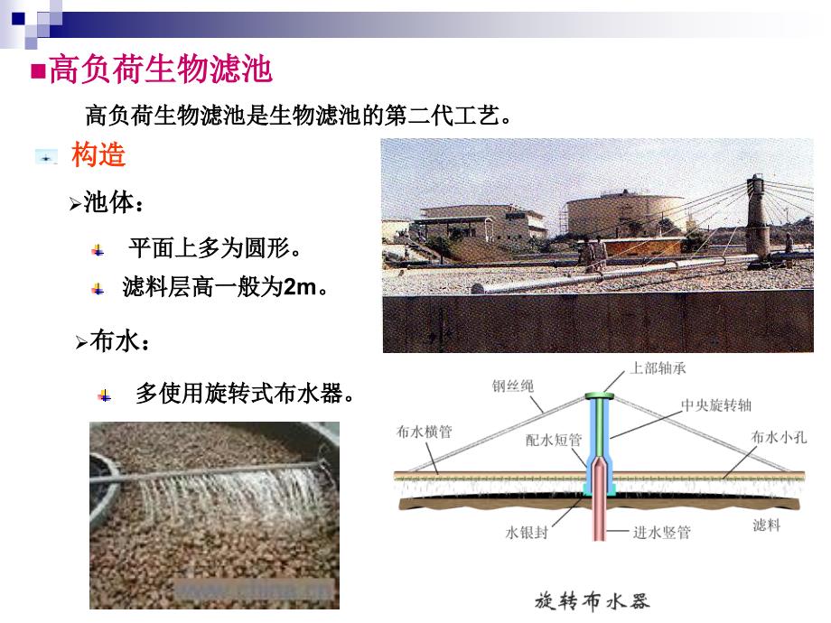 生物处理-PPT课件_第2页