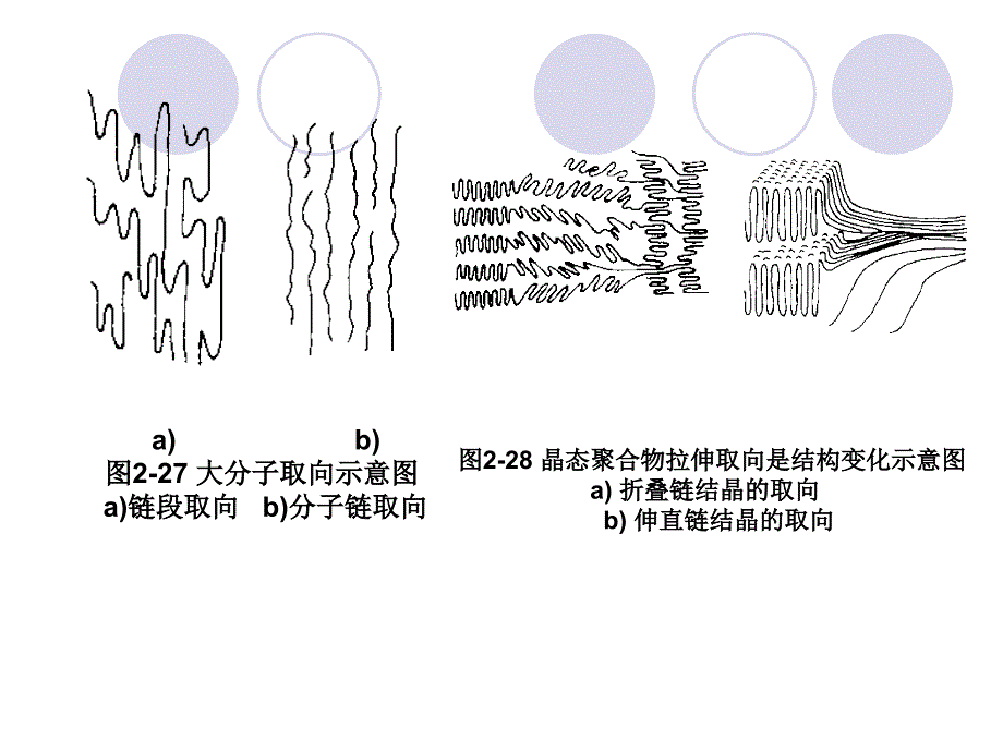 高分子的取向结构_第2页