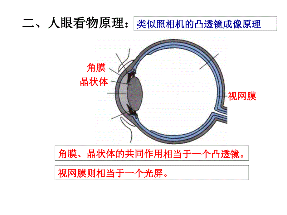 4.6眼睛与视力矫正pptflash课件_第4页