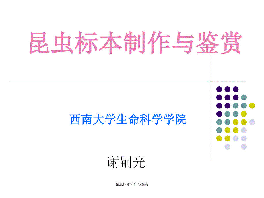 昆虫标本制作与鉴赏课件_第1页