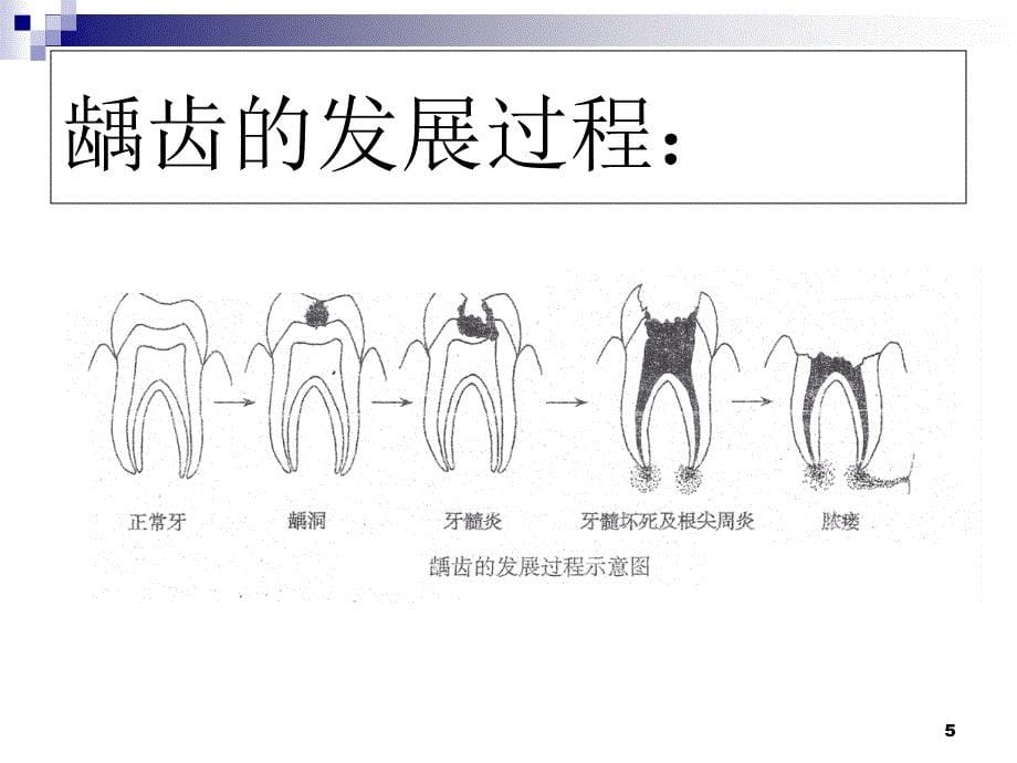 增城区小楼镇长岭麦韵芳小学二年级健康课件(树房)_第5页