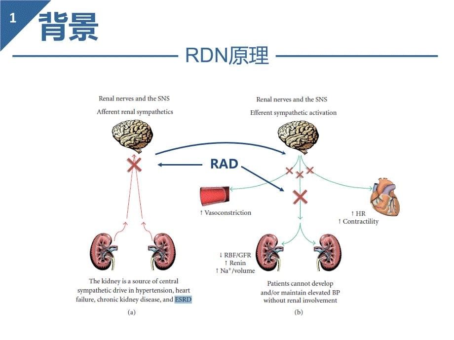 国家心血管病中心阜外心血管病医院_第5页