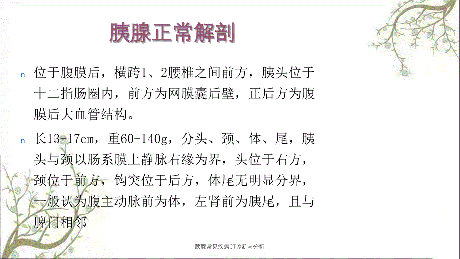 胰腺常见疾病CT诊断与分析_第2页