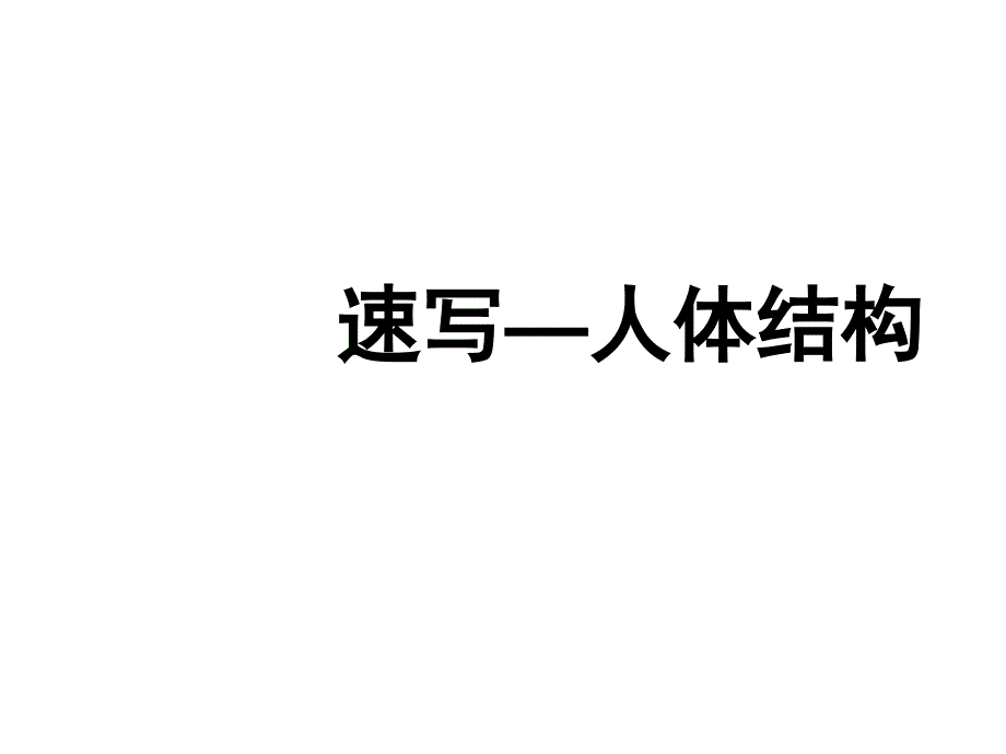 速写—人体结构课件_第1页