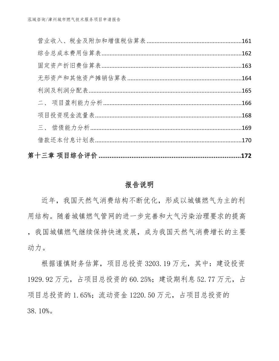 漳州城市燃气技术服务项目申请报告模板参考_第5页
