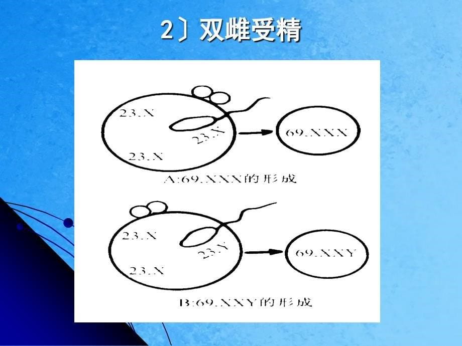 二节染色体畸变精选ppt课件_第5页