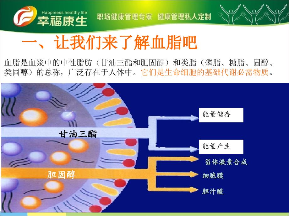 血脂异常整体管理方案-幸福康生_第3页