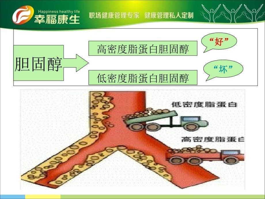 血脂异常整体管理方案-幸福康生_第5页