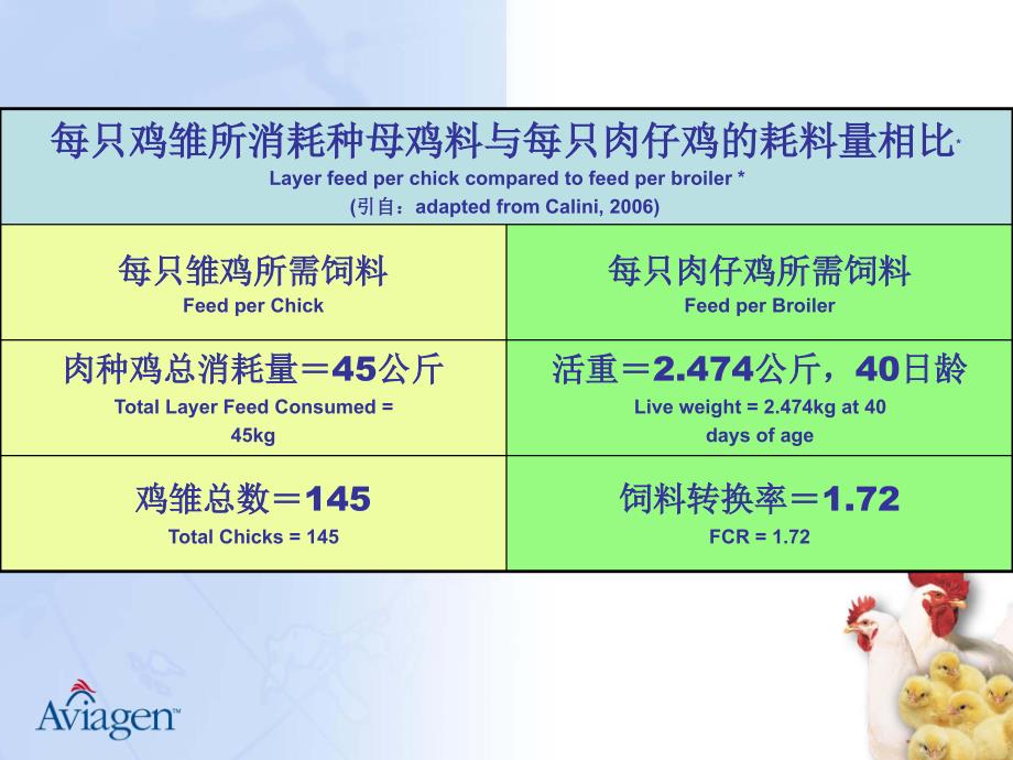 为获得优质雏鸡和优良生产性能的肉用仔鸡而饲养肉种鸡_第2页