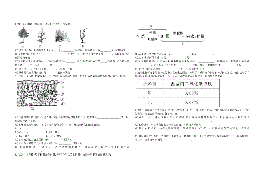 精选类中考生物2.1第二单元第一章生物圈中的绿色植物复习导学案无答案济南版_第4页