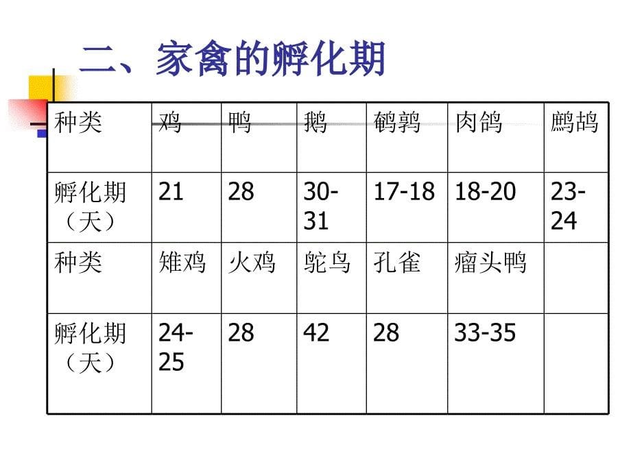 家禽的孵化全过程及管理ppt课件_第5页