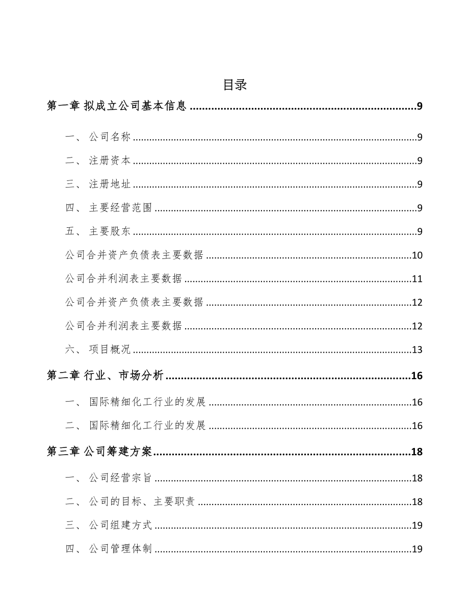 南昌关于成立水处理药剂公司可行性研究报告(DOC 92页)_第2页