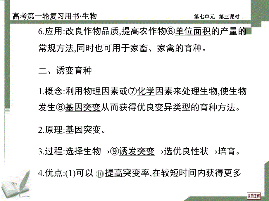 生物的变异、育种与进化第三课时_第3页