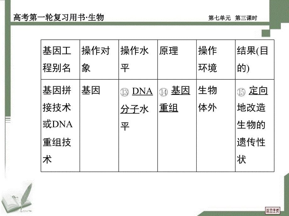 生物的变异、育种与进化第三课时_第5页