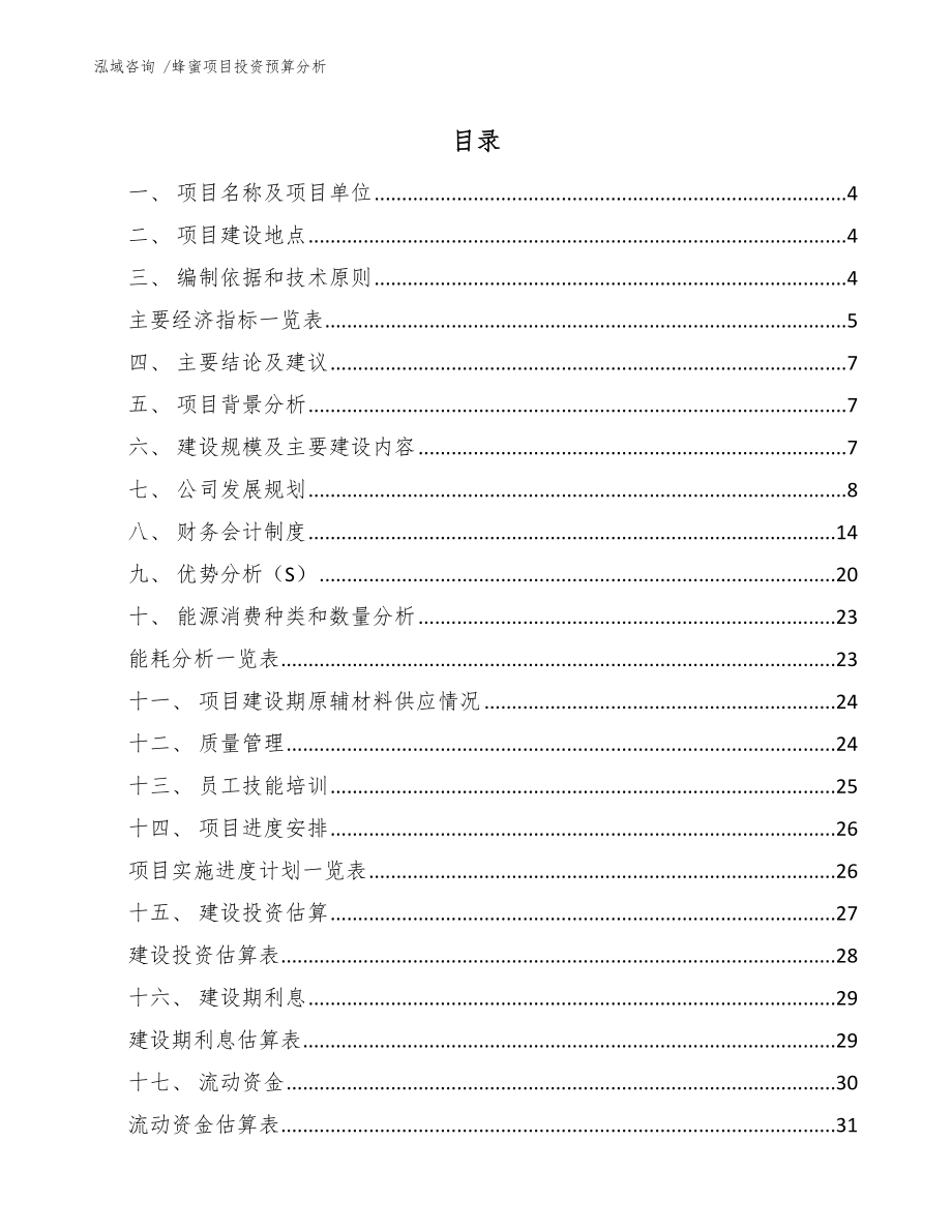 蜂蜜项目投资预算分析（模板参考）