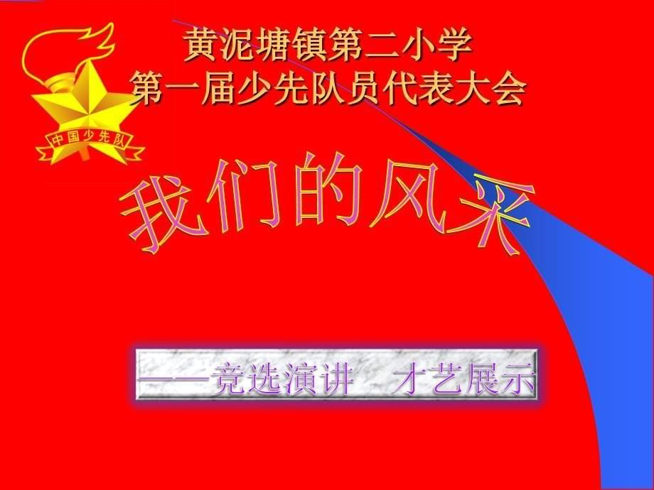 《少代会会议》PPT课件.ppt_第5页