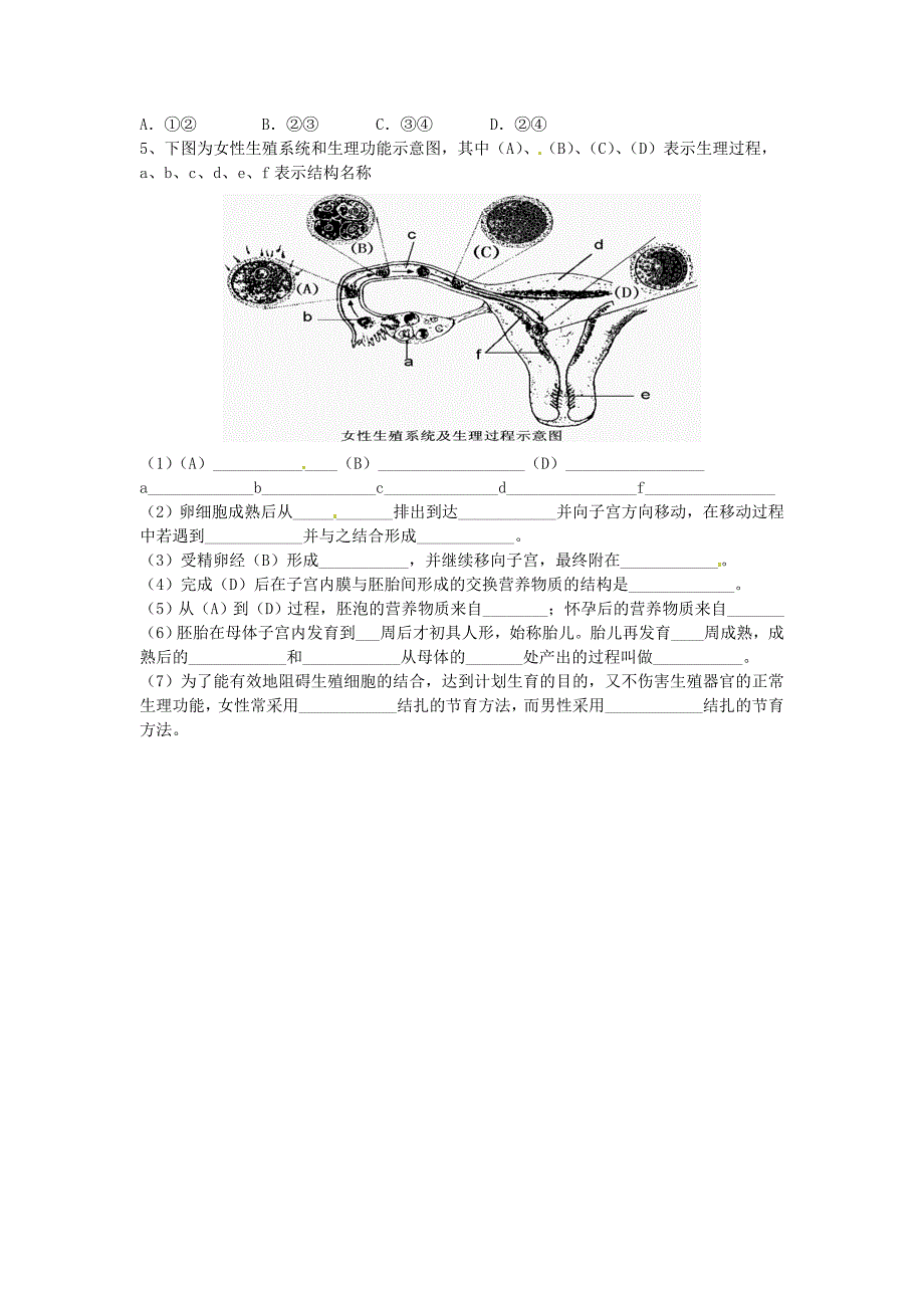 湖北省襄阳四十七中七年级生物下册人的生殖教学案无答案新人教版_第2页