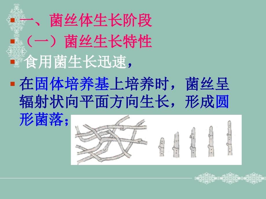 食用菌生理与营养_第4页