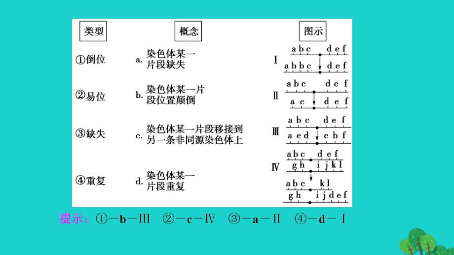 高中生物 第5章 基因突变及其他变异 第2节 染色体变异课件 新人教版必修2_第4页