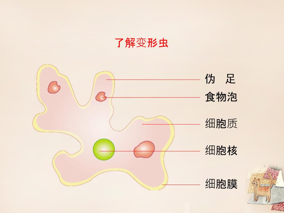 最新：七年级生物上册 3.2 细胞是生命活动的单位优教课件1 北师大版文档资料_第2页