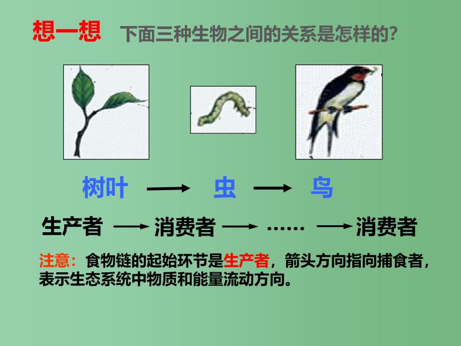 八年级生物下册第七单元第二节食物链和食物网课件冀教版_第3页